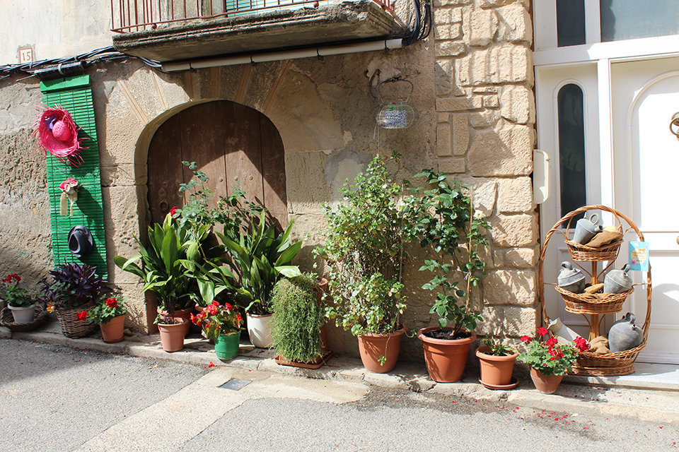 Garrigues en flor - Foto: Consell Comarcal de les Garrigues