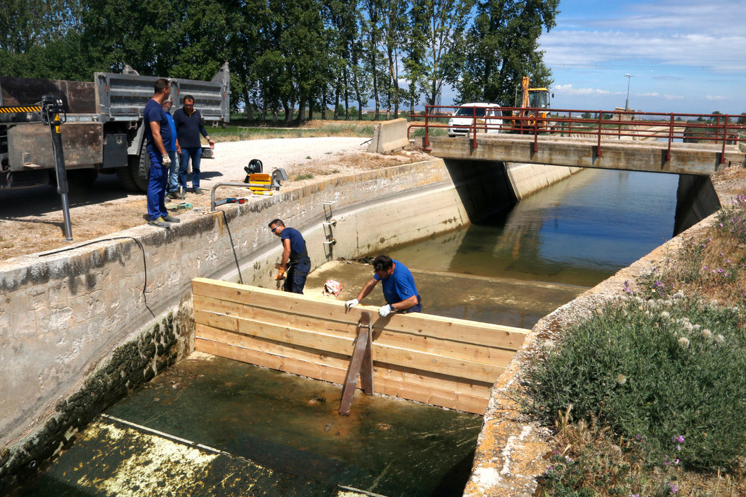 Operaris de la Casa Canal construint una tanca per retenir l'aigua del canal d'Urgell. Foto: Oriol Bosch