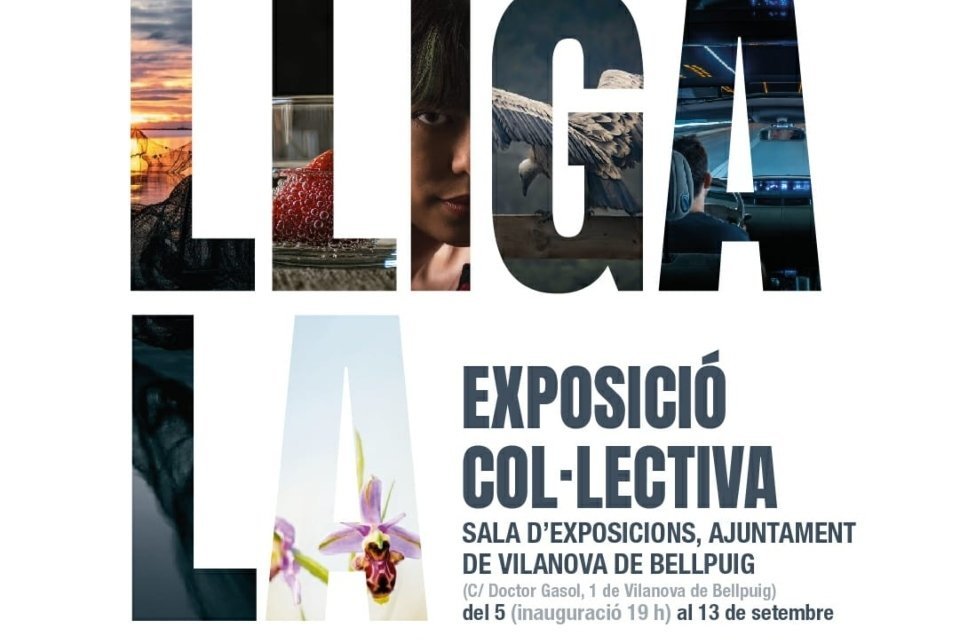 La Fecoll exposa les millors vinyetes del XVI Concurs d’Humor Gràfic Caragoler (3)