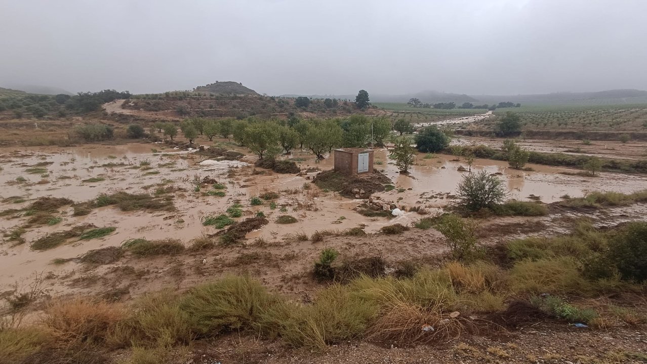 Imatge dels camps inundats a Castelldans. Foto: Cedida per Conrad Llovera, alcalde de la localitat