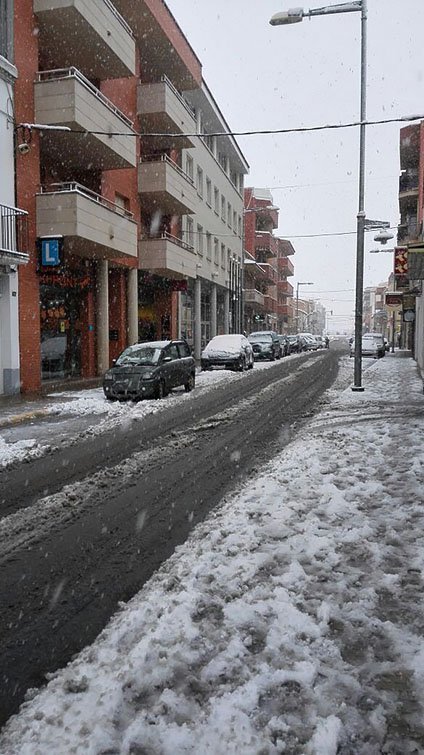 Mollerussa nevada 4 febrer.
