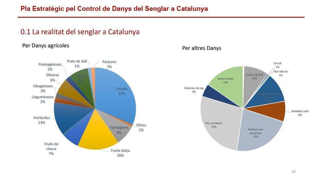 Grafica 2