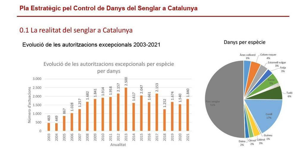 Grafica