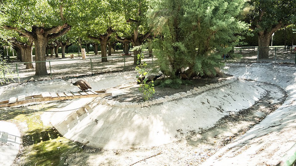 Parc Municipal de Mollerussa 1