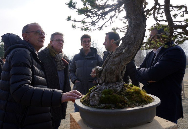 Nou espai per a bonsais dins l'Arborètum que estarà a punt el primer semestre del 2023 ©AjLleida
