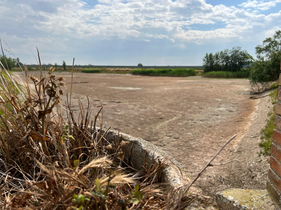 Una bassa de reg del canal d'Urgell completament seca a Vilanova de Bellpuig - Foto: Oriol Bosch